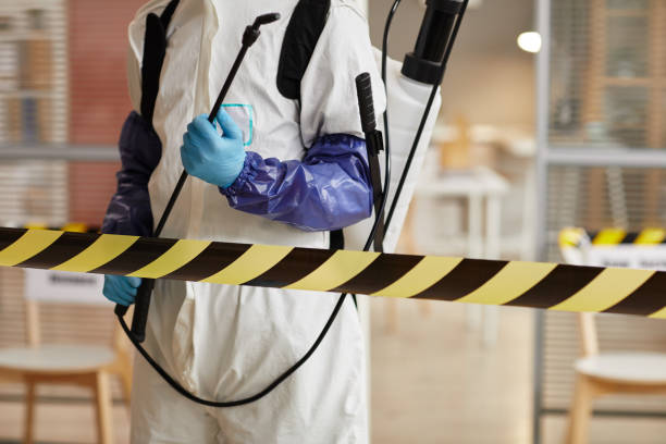 Professional Odor Removal technician working in Bellevue, OH