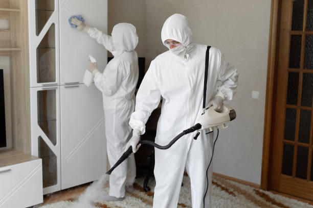 24/7 Emergency Odor Removal experts in Bellevue, OH